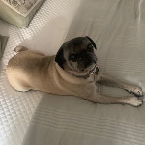 Meet your Posher, Ethan